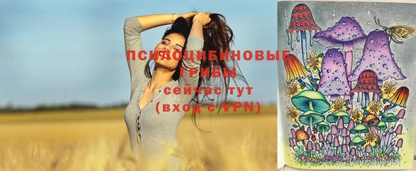 мдпв Балахна