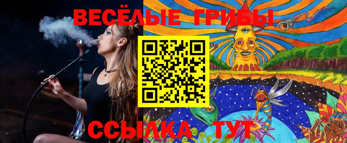 Бор  Галлюциногенные грибы MAGIC MUSHROOMS  Вход с VPN  Галлюциногенные грибы Psilocybe 